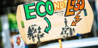 Net Zero Governance: Board-Level Accountability Frameworks