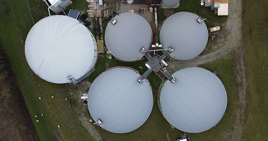 Biogas and organic waste processing system